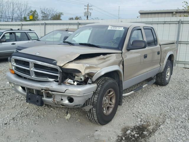 1D7HG48N83S115370 - 2003 DODGE DAKOTA QUA GOLD photo 2