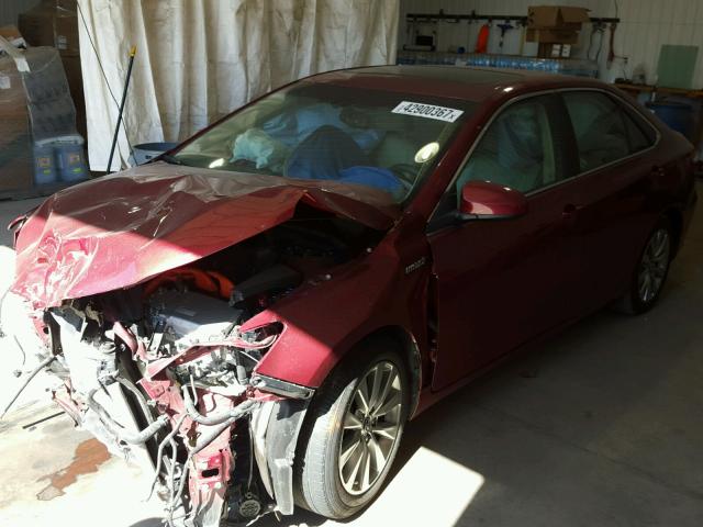 4T1BD1FK8GU178703 - 2016 TOYOTA CAMRY HYBR BURGUNDY photo 2