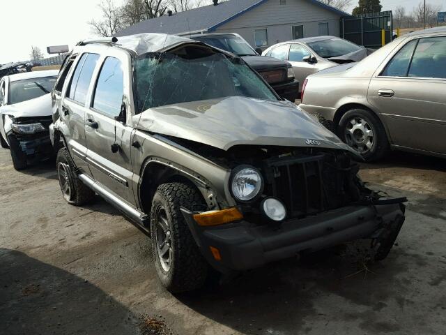 1J4GL38K25W726504 - 2005 JEEP LIBERTY RE GOLD photo 1