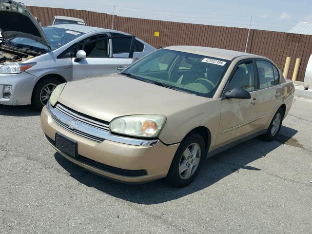 1G1ZT548X5F190785 - 2005 CHEVROLET MALIBU LS GOLD photo 2