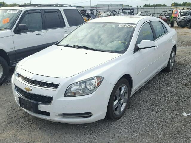 1G1ZH57B59F221259 - 2009 CHEVROLET MALIBU 1LT 白色 照片 2