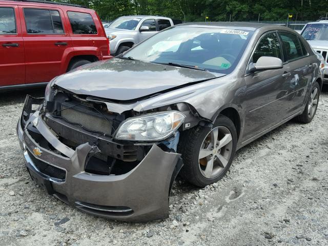 1G1ZC5E1XBF383676 - 2011 CHEVROLET MALIBU 1LT 棕色 照片 2