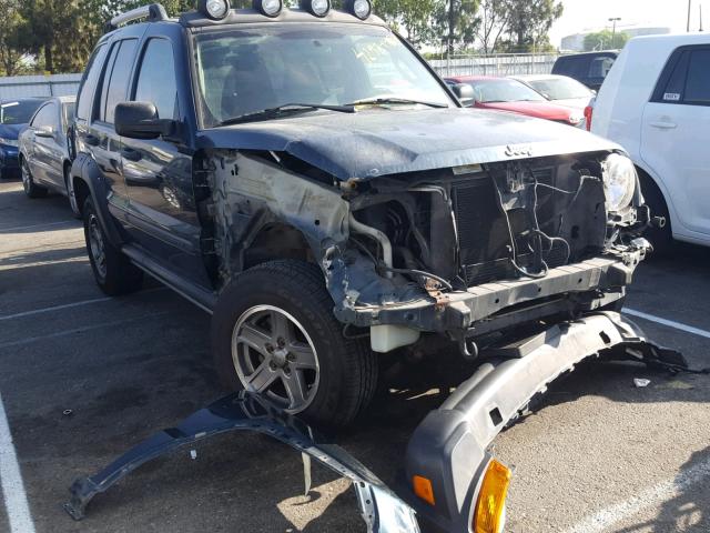 1J4GK38K45W526985 - 2005 JEEP LIBERTY RE GREEN photo 1