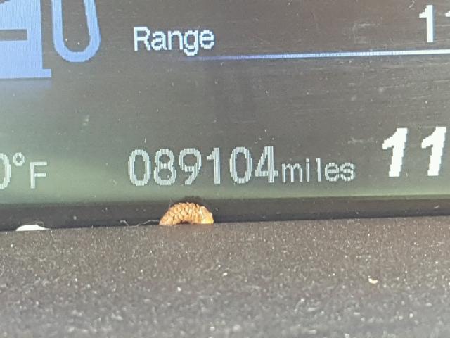 19XFB2F91DE230519 - 2013 HONDA CIVIC EXL 白色 照片 8