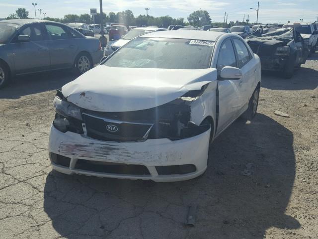 KNAFU4A23A5133052 - 2010 KIA FORTE WHITE photo 2