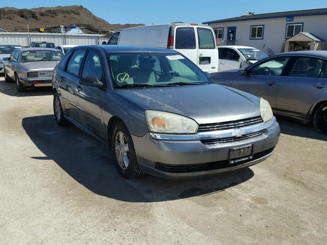 1G1ZT648X4F187499 - 2004 CHEVROLET MALIBU MAX ნაცრისფერი ფოტო 1