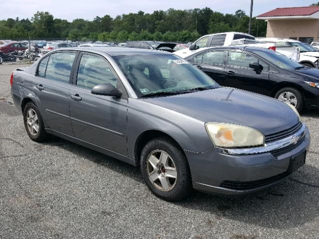 1G1ZT52854F207638 - 2004 CHEVROLET MALIBU LS ნაცრისფერი ფოტო 1