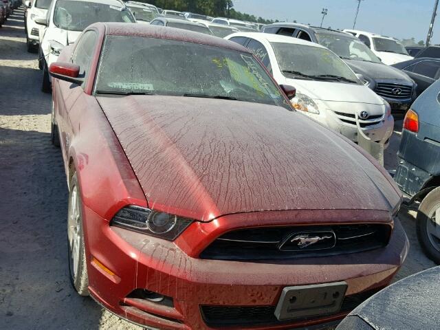 1ZVBP8AM2E5228044 - 2014 FORD MUSTANG RED photo 9