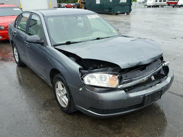 1G1ZT52875F297568 - 2005 CHEVROLET MALIBU LS Boz foto 1