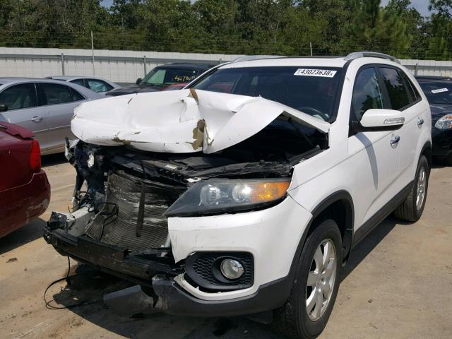 5XYKT4A14BG175301 - 2011 KIA SORENTO BA WHITE photo 2