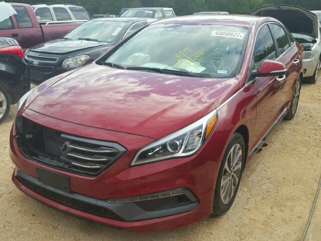 5NPE34AF6GH339592 - 2016 HYUNDAI SONATA SPO RED photo 2