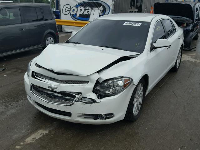 1G1ZE5EU0BF346267 - 2011 CHEVROLET MALIBU LTZ თეთრი ფოტო 2