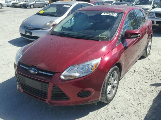 1FADP3K20DL249650 - 2013 FORD FOCUS SE RED photo 2