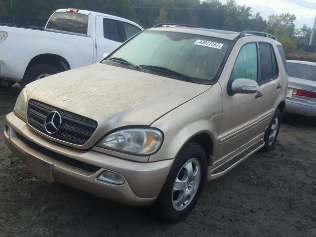 4JGAB57E24A513954 - 2004 MERCEDES-BENZ ML 350 GOLD photo 2