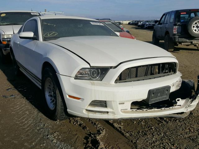 1ZVBP8AM5D5217201 - 2013 FORD MUSTANG WHITE photo 1