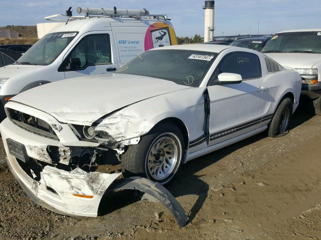 1ZVBP8AM5D5217201 - 2013 FORD MUSTANG WHITE photo 2