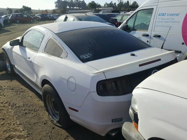 1ZVBP8AM5D5217201 - 2013 FORD MUSTANG WHITE photo 3