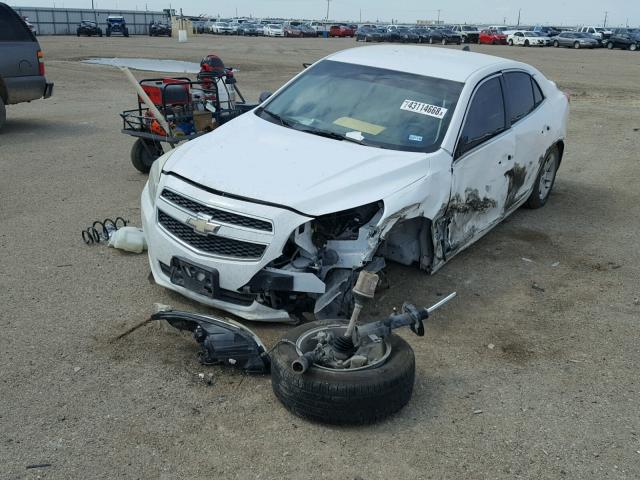 1G11B5SA9DF155224 - 2013 CHEVROLET MALIBU LS თეთრი ფოტო 2