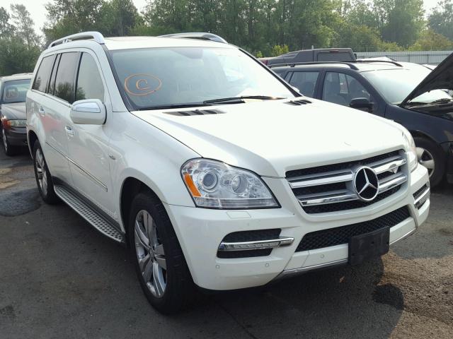 4JGBF2FE0AA616925 - 2010 MERCEDES-BENZ GL 350 BLU WHITE photo 1