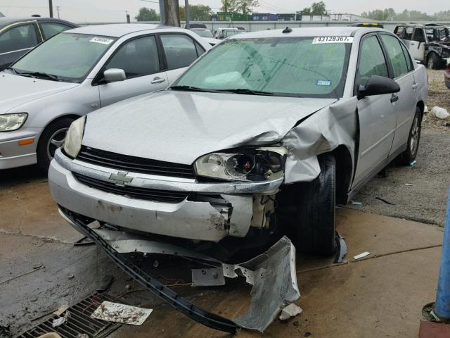 1G1ZT54805F269382 - 2005 CHEVROLET MALIBU LS SILVER photo 2