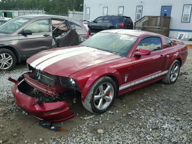 1ZVFT82H365171949 - 2006 FORD MUSTANG GT RED photo 2