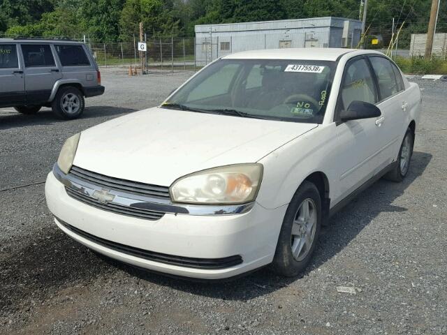 1G1ZT54815F124531 - 2005 CHEVROLET MALIBU LS Ақ фото 2