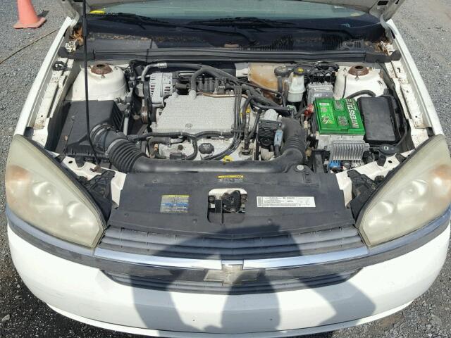 1G1ZT54815F124531 - 2005 CHEVROLET MALIBU LS Ақ фото 7