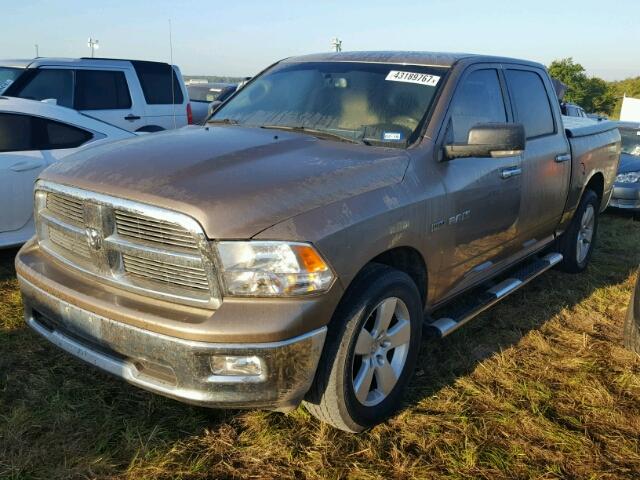 1D3HB13T09S774329 - 2009 DODGE RAM 1500 GOLD photo 2