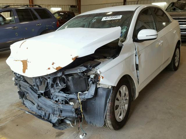 KNAFU4A29B5435091 - 2011 KIA FORTE EX WHITE photo 2