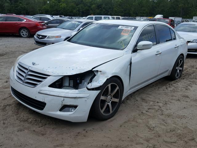 KMHGC46F49U058784 - 2009 HYUNDAI GENESIS 4. WHITE photo 2