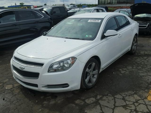 1G1ZC5E15BF379521 - 2011 CHEVROLET MALIBU 1LT თეთრი ფოტო 2