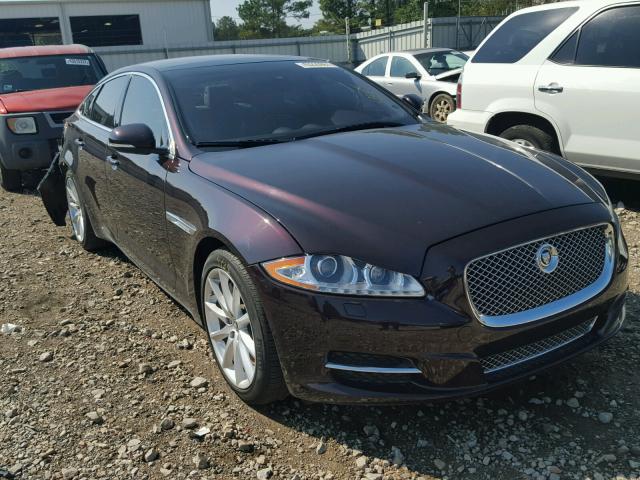 SAJWA1C72D8V58530 - 2013 JAGUAR XJ PURPLE photo 1