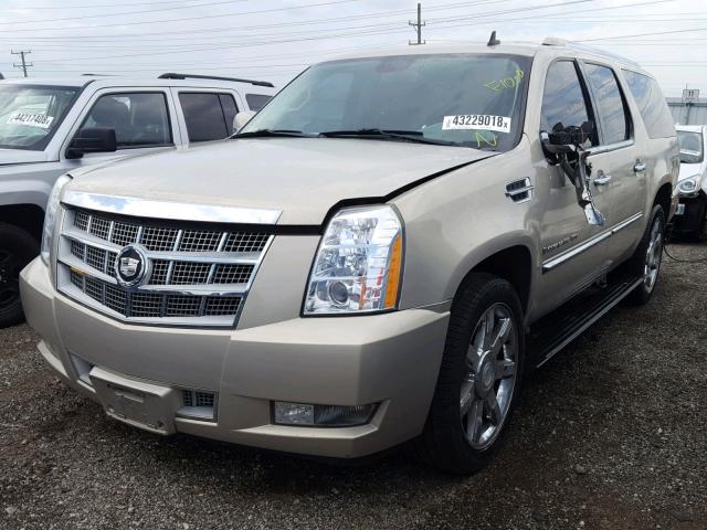 1GYFK46888R252895 - 2008 CADILLAC ESCALADE E GOLD photo 2