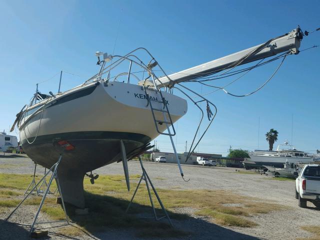 ERY35504M77H - 1977 BOAT BOAT WHITE photo 3