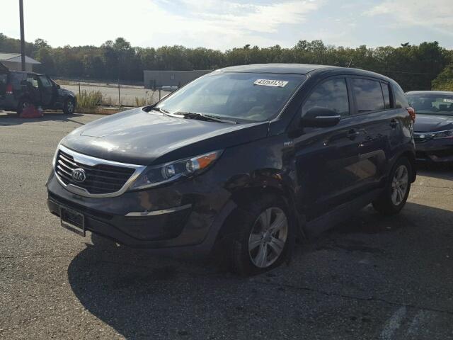 KNDPBCA29D7498576 - 2013 KIA SPORTAGE L BLACK photo 2