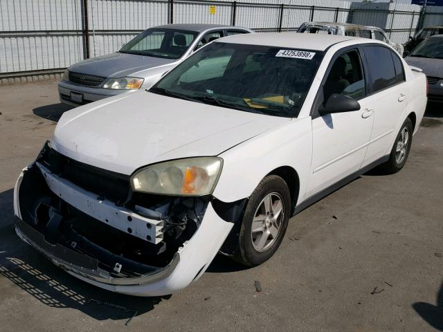 1G1ZT52865F311024 - 2005 CHEVROLET MALIBU LS 白色 照片 2