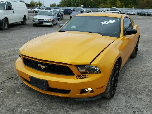 1ZVBP8AMXC5227334 - 2012 FORD MUSTANG YELLOW photo 2