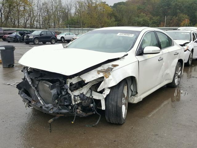 1N4AA5AP1AC825397 - 2010 NISSAN MAXIMA S WHITE photo 2