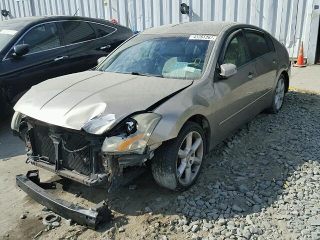 1N4BA41E35C816929 - 2005 NISSAN MAXIMA GRAY photo 2