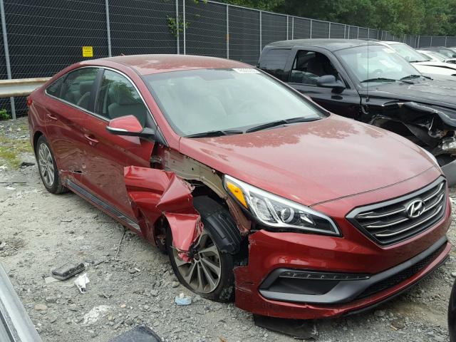 5NPE34AF3GH318747 - 2016 HYUNDAI SONATA SPO MAROON photo 1