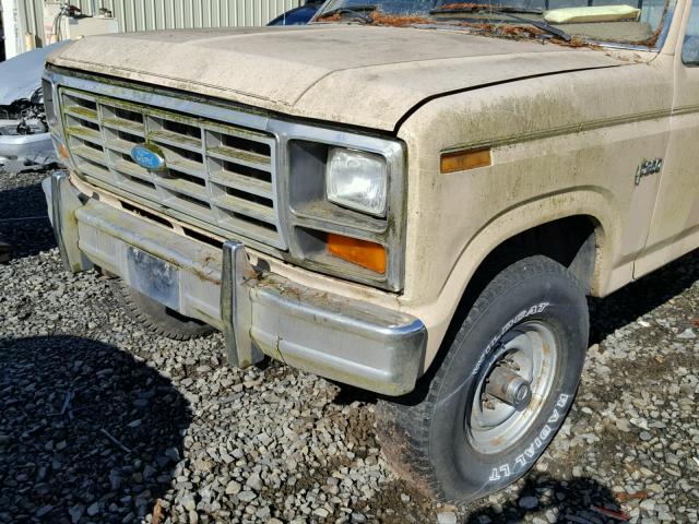 1FTEF26Y6FPA77601 - 1985 FORD F250 CREAM photo 9