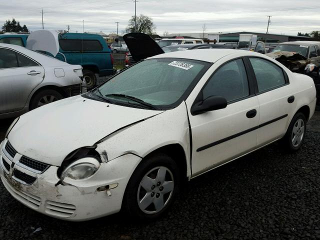 1B3ES26C44D534129 - 2004 DODGE NEON BASE WHITE photo 2