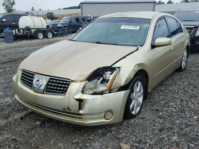 1N4BA41E24C878966 - 2004 NISSAN MAXIMA SE GOLD photo 2