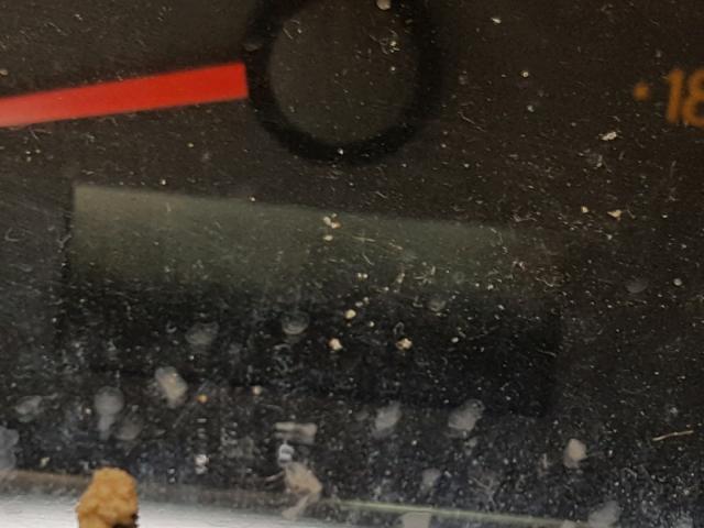 1G8AJ52F05Z118188 - 2005 SATURN ION LEVEL SILVER photo 8