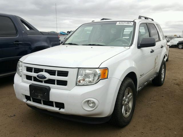 1FMCU59339KA28819 - 2009 FORD ESCAPE WHITE photo 2