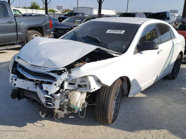 1G1ZB5EB9AF300555 - 2010 CHEVROLET MALIBU LS Ağ foto 2
