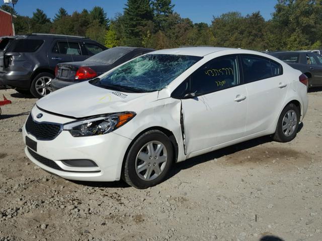 KNAFX4A61F5396254 - 2015 KIA FORTE LX WHITE photo 2