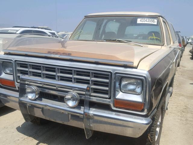 1B4GW12R0BS128192 - 1981 DODGE RAMCHARGER TAN photo 2