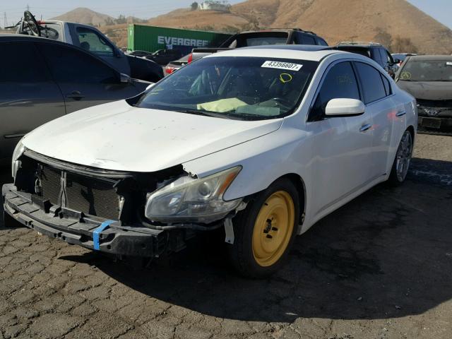 1N4AA51E99C833659 - 2009 NISSAN MAXIMA WHITE photo 2