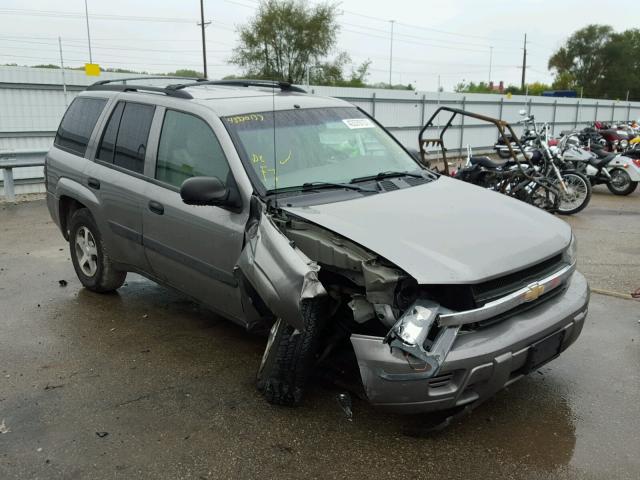 1GNDT13S152225445 - 2005 CHEVROLET TRAILBLAZE GRAY photo 1